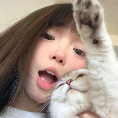 金色蝴蝶